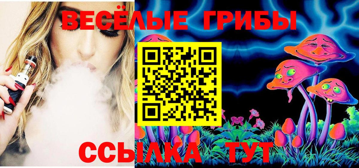 Псилоцибиновые грибы Psilocybe Гусь-Хрустальный