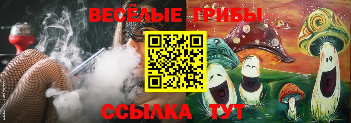 Псилоцибиновые грибы Psilocybe  Вход с VPN  где продают наркотики  Гусь-Хрустальный  Галлюциногенные грибы Cubensis 